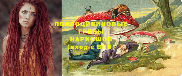 амф Володарск