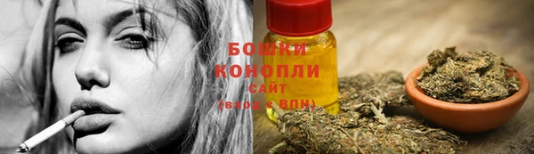 амф Володарск