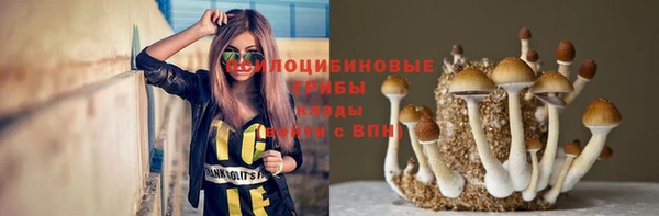 амф Володарск
