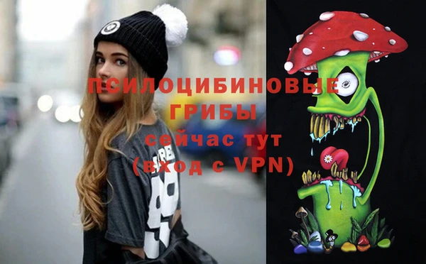 амф Володарск