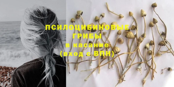 бошки Волосово